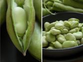 How To Celebrate National Bean Day